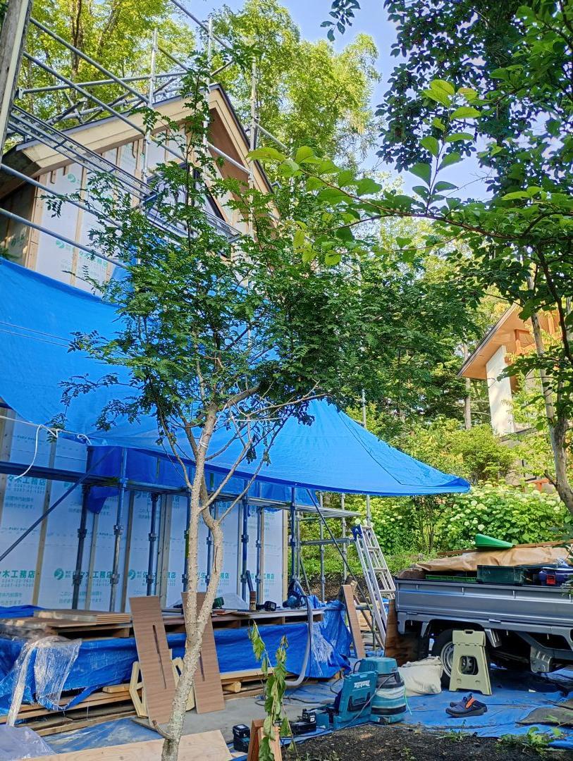 260709_全景.jpg